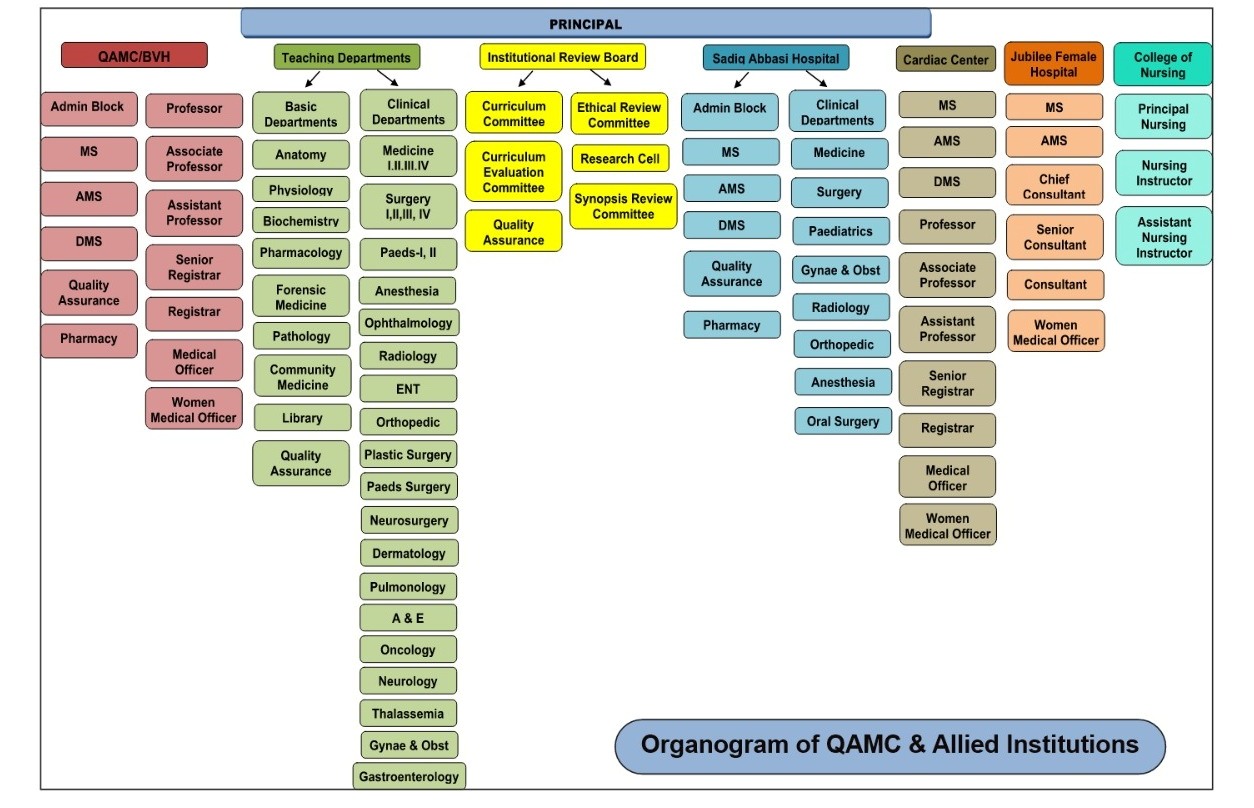 QAMC Organogram